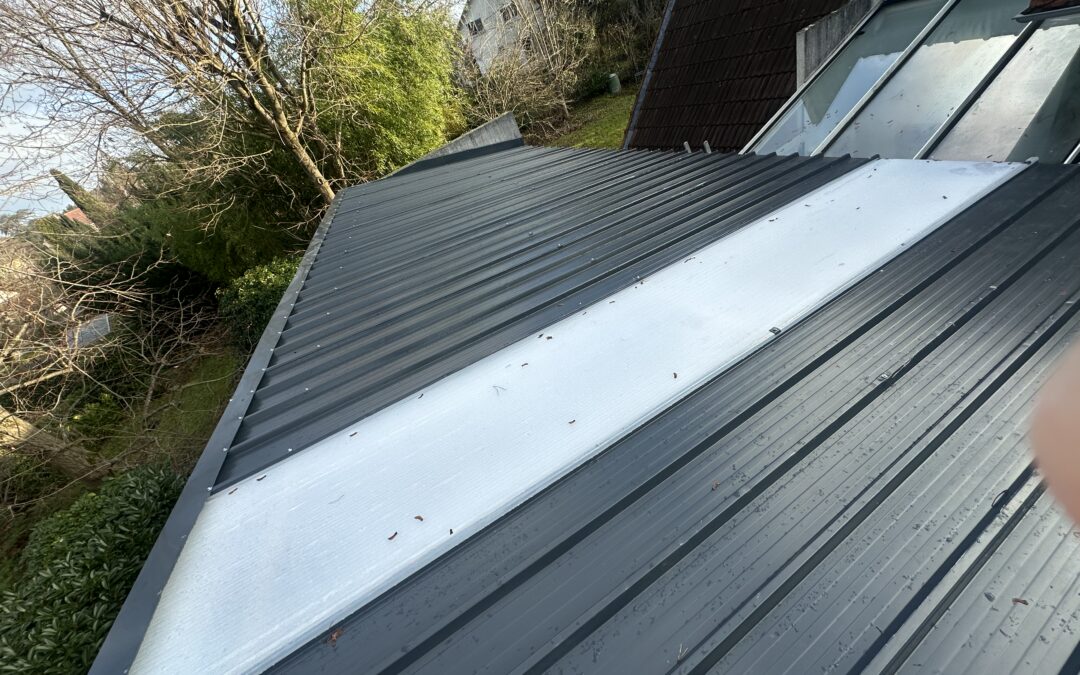 toit bac acier 91 Draveil