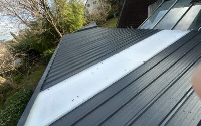 toit bac acier 91 Draveil